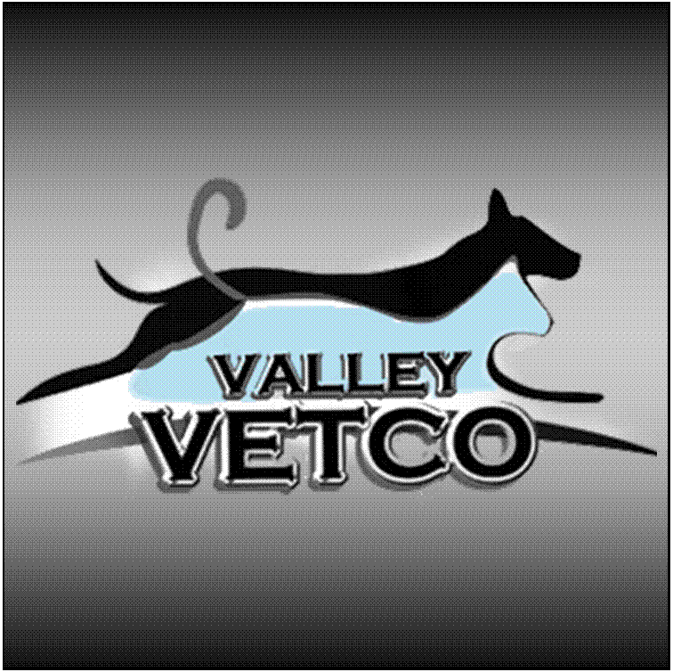 Logo for Valley Vetco